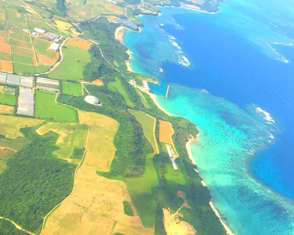 沖縄ルルルン(アセロラの香り)/ルルルン/シートマスク・パックを使ったクチコミ(2枚目)