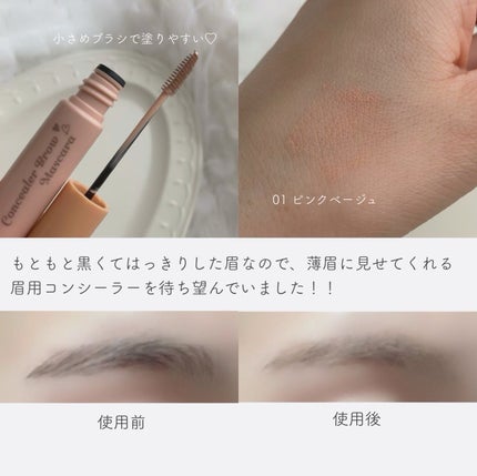 コンシーラーブロウマスカラ/キャンメイク/その他アイブロウを使ったクチコミ(3枚目)