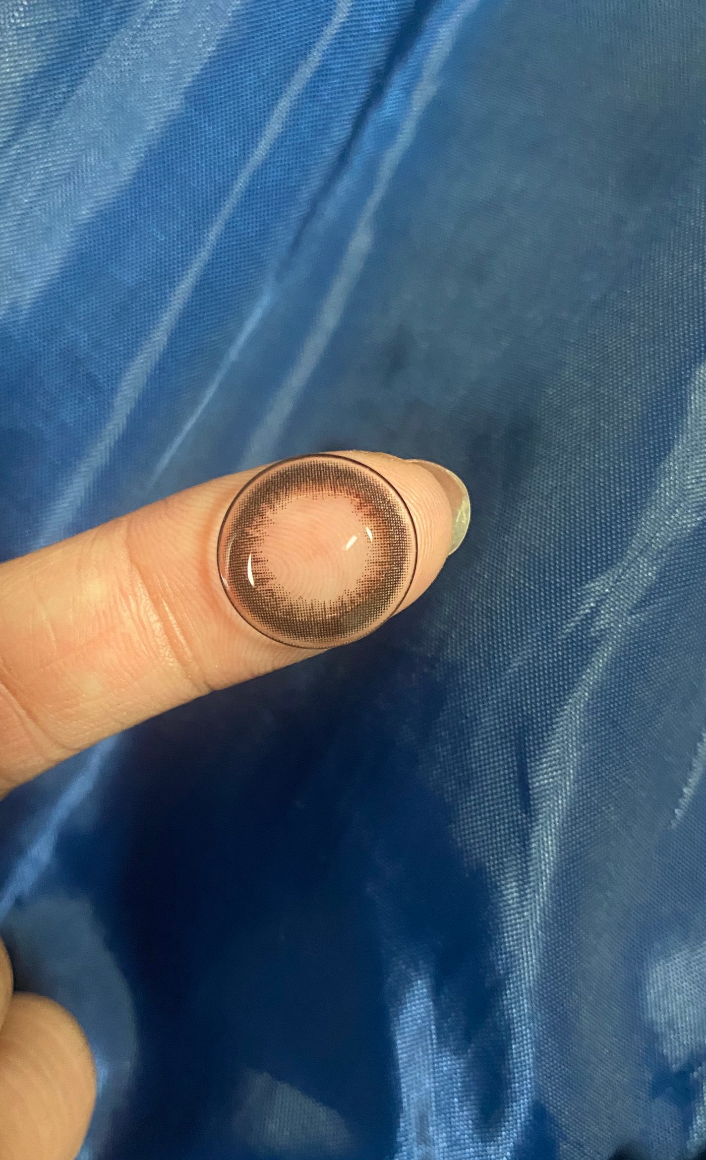 ReVIA CIRCLE 1day/ReVIA/ワンデー(1DAY)カラコンを使ったクチコミ(5枚目)