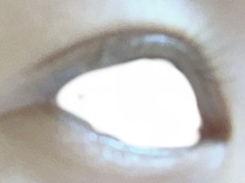 ロングラッシュマスカラN/CEZANNE/マスカラを使ったクチコミ（3枚目）