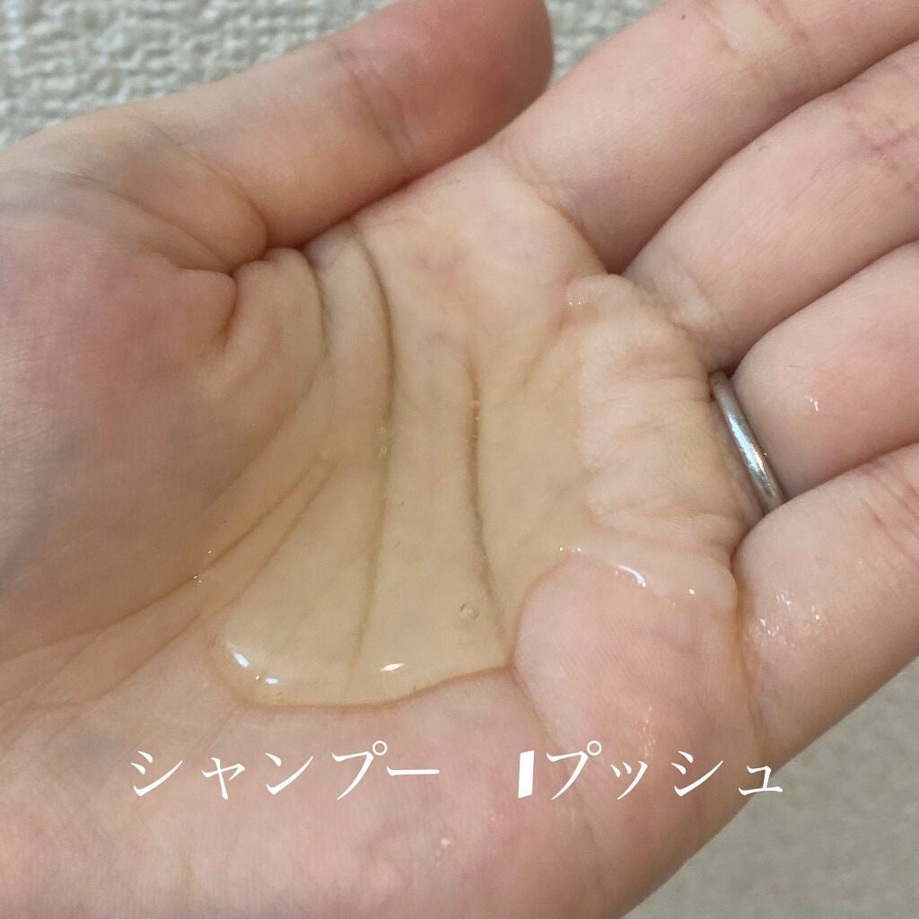 ã¹ã«ã«ãD ããŒã ããã¥ã©ã¹ã¿ãŒ ã¹ã«ã«ãã·ã£ã³ããŒïŒããªãŒãã¡ã³ãããã¯/ã¢ã³ãã¡ãŒ(ã¹ã«ã«ãD)/ã·ã£ã³ããŒã»ã³ã³ãã£ã·ã§ããŒã䜿ã£ãã¯ãã³ãïŒ2æç®ïŒ