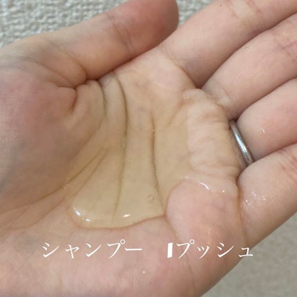 ã¹ã«ã«ãD ããŒã ããã¥ã©ã¹ã¿ãŒ ã¹ã«ã«ãã·ã£ã³ããŒïŒããªãŒãã¡ã³ãããã¯/ã¢ã³ãã¡ãŒ(ã¹ã«ã«ãD)/ã·ã£ã³ããŒã»ã³ã³ãã£ã·ã§ããŒã䜿ã£ãã¯ãã³ãïŒ2æç®ïŒ