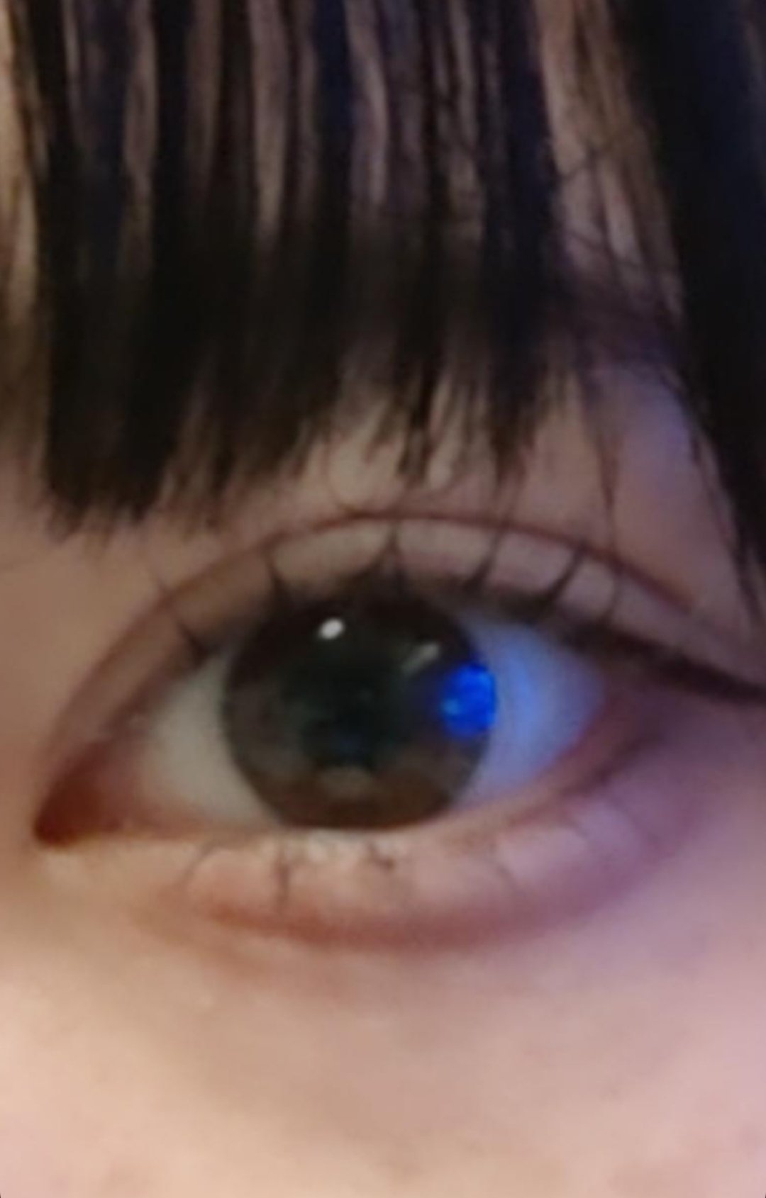 耐久カールマスカラ/CEZANNE/マスカラを使ったクチコミ（1枚目）