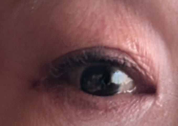 カラーステイ ルックス ブック パレット/REVLON/アイシャドウパレットを使ったクチコミ（2枚目）