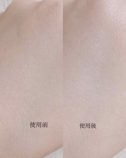 毛穴パテ職人 フィニッシュキープパウダー/毛穴パテ職人/プレストパウダーを使ったクチコミ(2枚目)