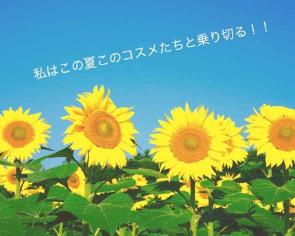 皮脂テカリ防止下地/CEZANNE/化粧下地を使ったクチコミ(1枚目)