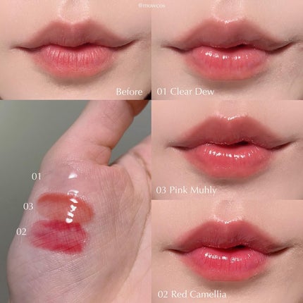 ナチュラルブルームリップオイルセラム 3色セット/PINATE/リップグロスを使ったクチコミ(2枚目)