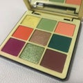 Mini Pro Pigment Palette Vol. 2 limited edition / アナスタシア ビバリーヒルズ