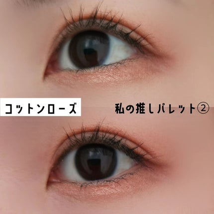 アイカラーパレット/heme/アイシャドウパレットを使ったクチコミ(10枚目)