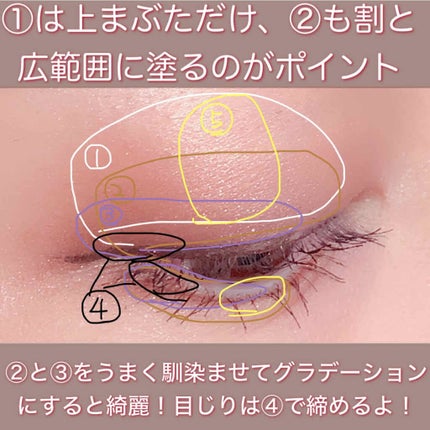 ショコラスウィート アイズ/リンメル ロンドン/アイシャドウパレットを使ったクチコミ(3枚目)
