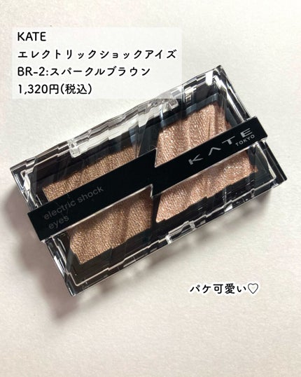 エレクトリックショックアイズ /KATE/アイシャドウパレットを使ったクチコミ(2枚目)