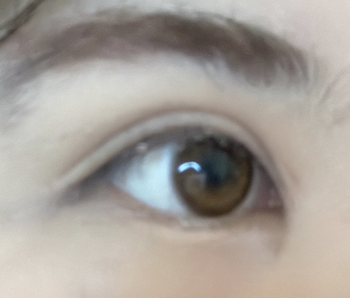 ジュエルアイカラーコレクション コハクの秘密/Armuje/アイシャドウパレットを使ったクチコミ（2枚目）