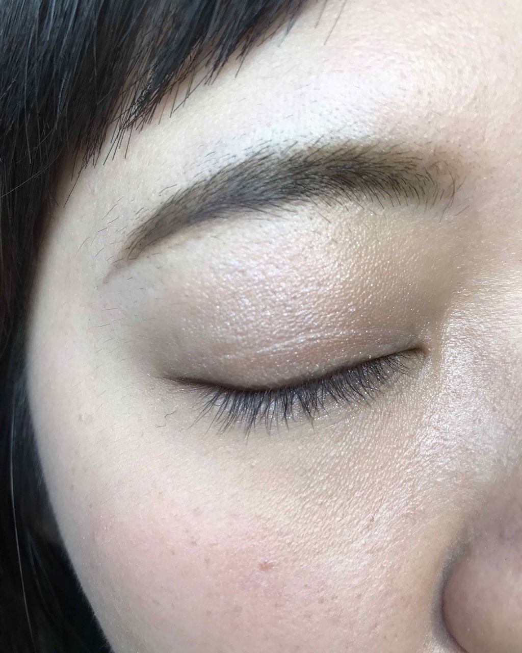 アイブロウパレット/白鳳堂/パウダーアイブロウを使ったクチコミ（3枚目）