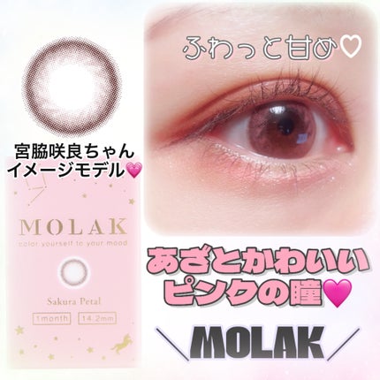 MOLAK 1month/MOLAK/1ヶ月(1MONTH)カラコンを使ったクチコミ(1枚目)