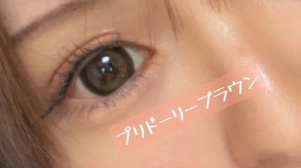 PRIMORE 1day/PRIMORE/カラーコンタクトレンズを使ったクチコミ(1枚目)