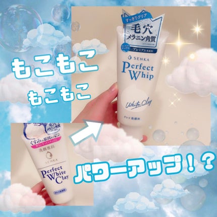 パーフェクトホワイトクレイ/SENKA(専科)/洗顔フォームを使ったクチコミ(1枚目)