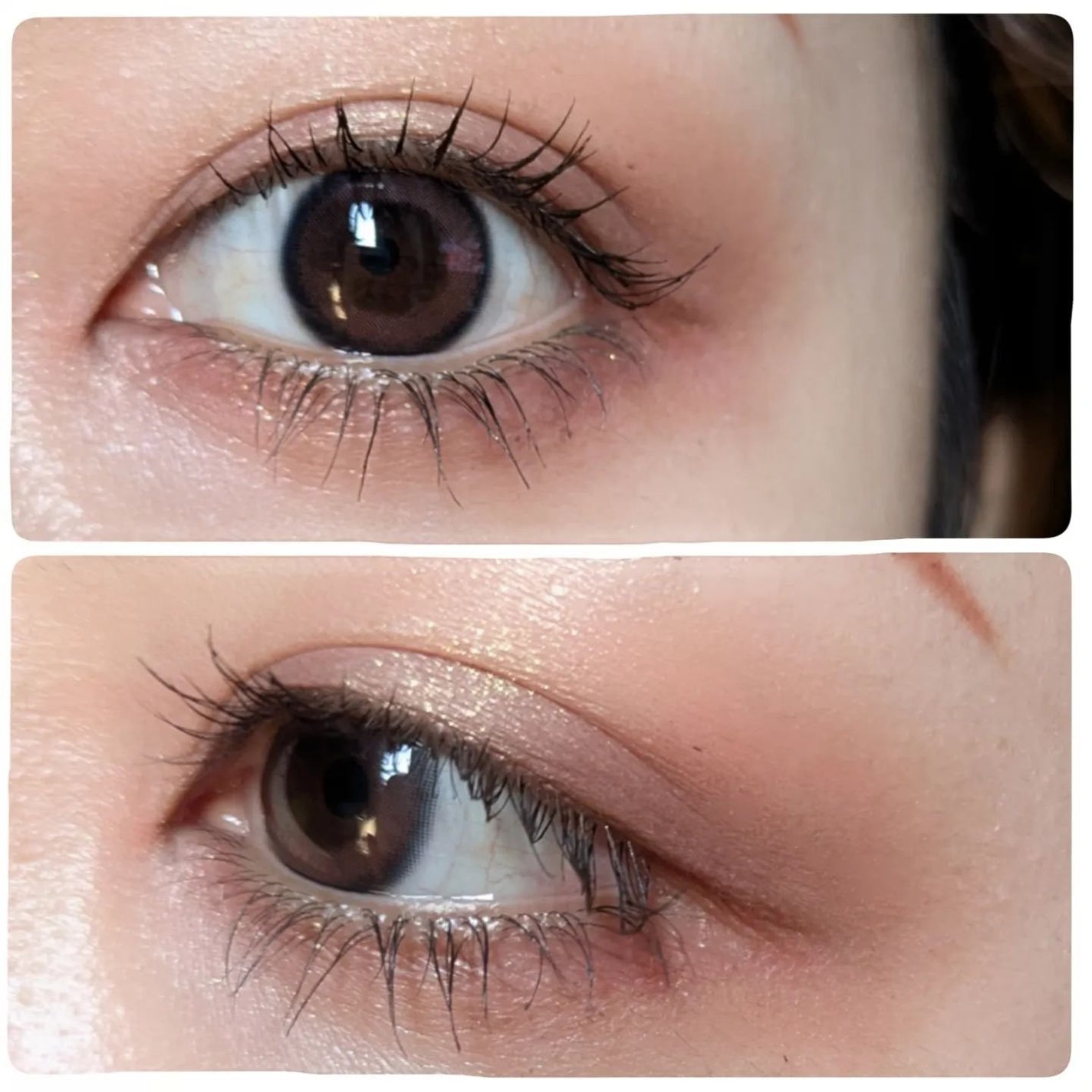 フェイスカラーパレット/チャコット・コスメティクス/アイシャドウパレットを使ったクチコミ(4枚目)