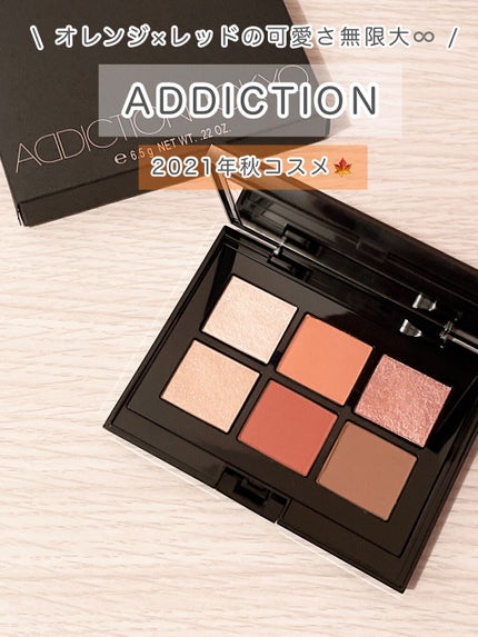 コンパクトアディクション センス オブ クラリティ/ADDICTION/アイシャドウパレットを使ったクチコミ(1枚目)