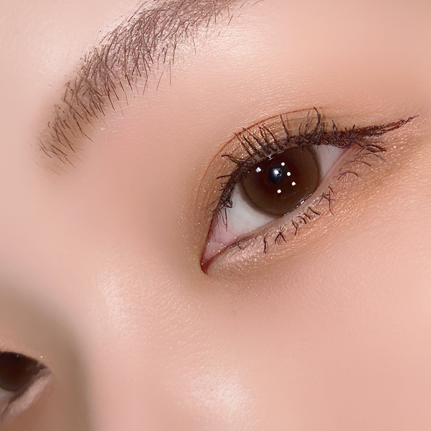 アイカラーレーション/LUNASOL/アイシャドウパレットを使ったクチコミ(8枚目)