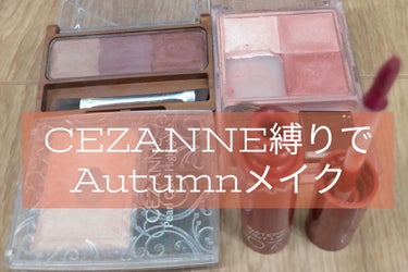 ノーズ＆アイブロウパウダー/CEZANNE/パウダーアイブロウを使ったクチコミ（1枚目）