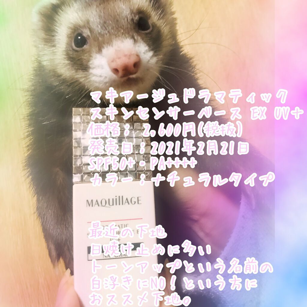 独特な ferret様専用 mandhucollege.edu.mv