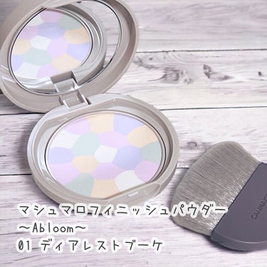 マシュマロフィニッシュパウダー　～Abloom～/キャンメイク/プレストパウダーを使ったクチコミ（1枚目）