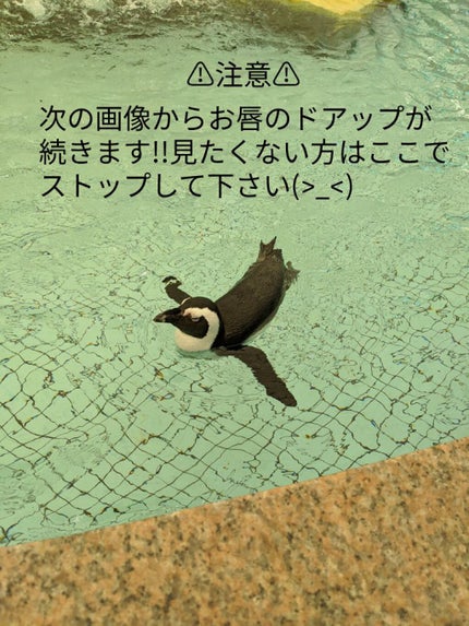 リップスリーピングマスク/LANEIGE/リップバームを使ったクチコミ(5枚目)