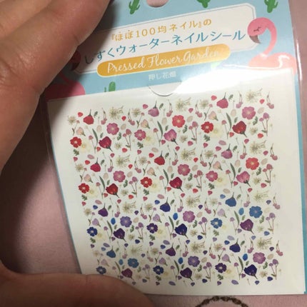 ナチュラルネイルカラーN/デュカート/マニキュアを使ったクチコミ(3枚目)