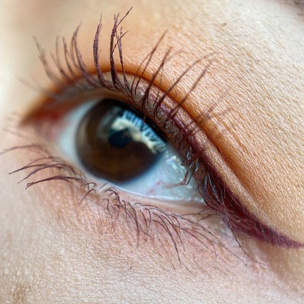 ジューシー マット ロングウェア リップスティック/Too Faced/口紅を使ったクチコミ(3枚目)