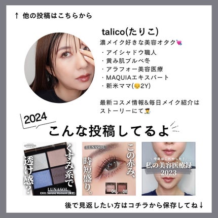 アイスカルプト レベル ブラック パール/shu uemura/アイシャドウパレットの画像