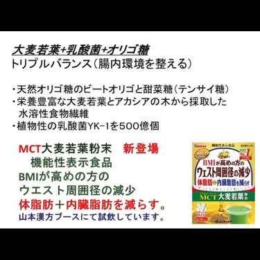 乳酸菌プラス 大麦若葉 粉末/山本漢方製薬/ドリンクを使ったクチコミ（4枚目）