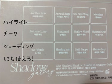 シェード アンド シャドウ パレット 01 SHADOW GALLERY/CLIO/アイシャドウパレットの画像