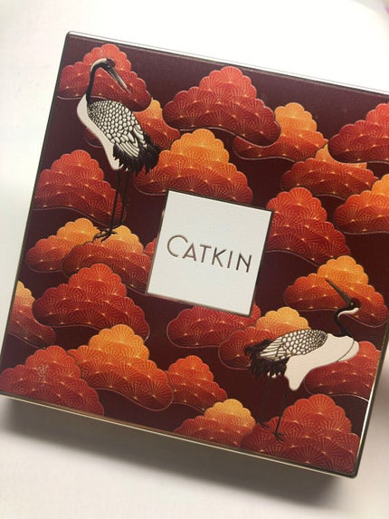 長相思シリーズ 9色アイシャドウパレット/CATKIN/アイシャドウパレットを使ったクチコミ(4枚目)