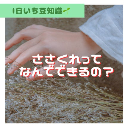 爪美活ネイルオイル/DAISO/ネイルオイル・トリートメントを使ったクチコミ(1枚目)