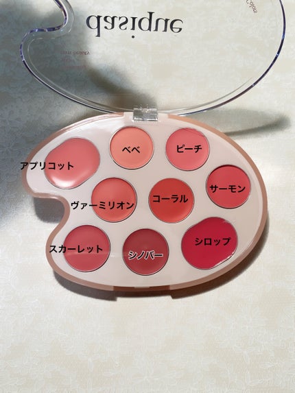 ムードペインティングリップアンドチークパレット/dasique/マルチパレットを使ったクチコミ(2枚目)