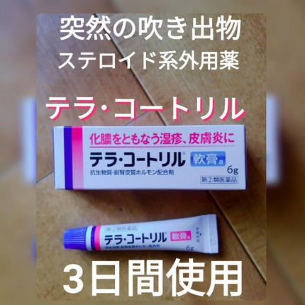 テラ・コートリル 軟膏(医薬品)/ジョンソン・エンド・ジョンソン/その他を使ったクチコミ(1枚目)