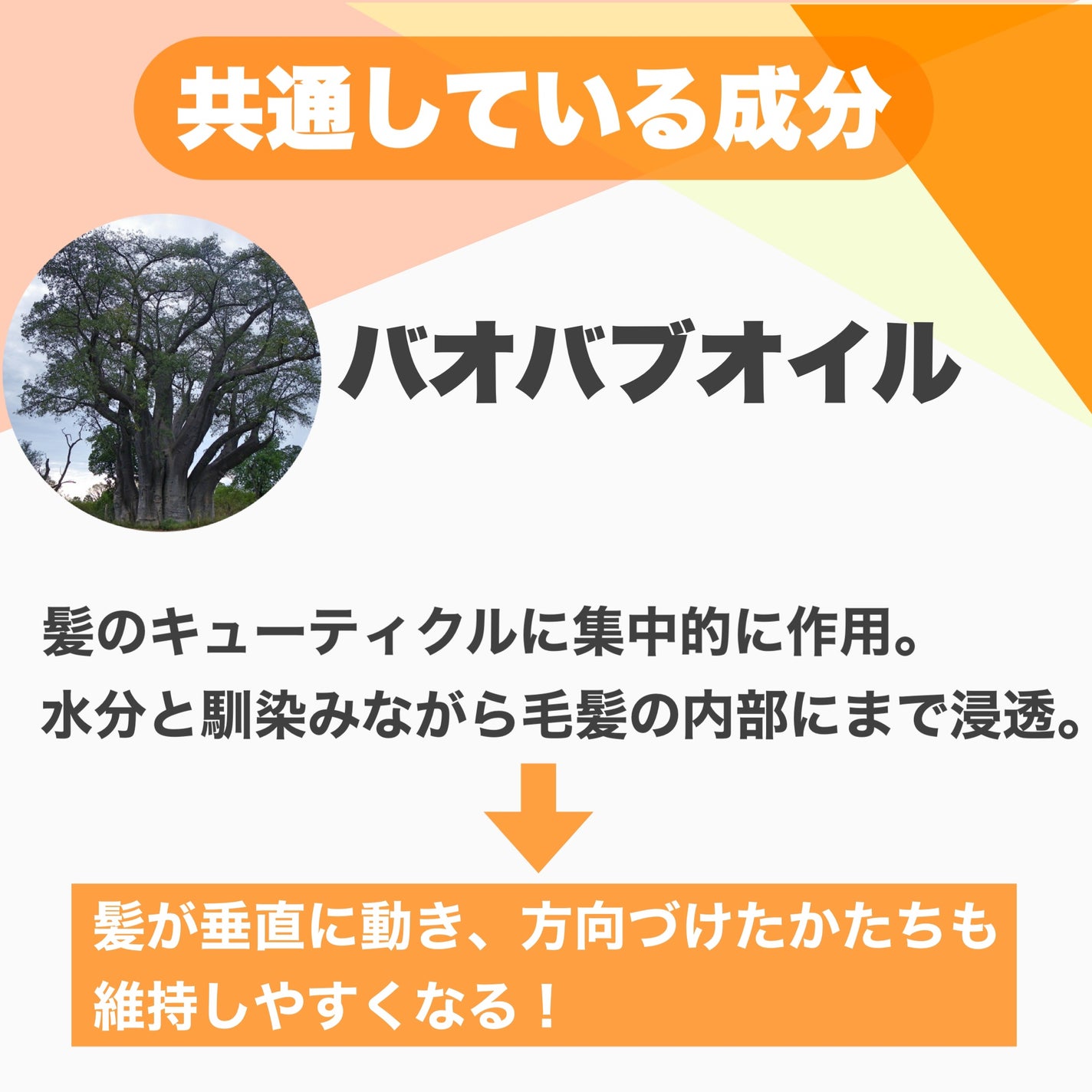 エルジューダ MO/エルジューダ/ヘアオイルを使ったクチコミ(5枚目)