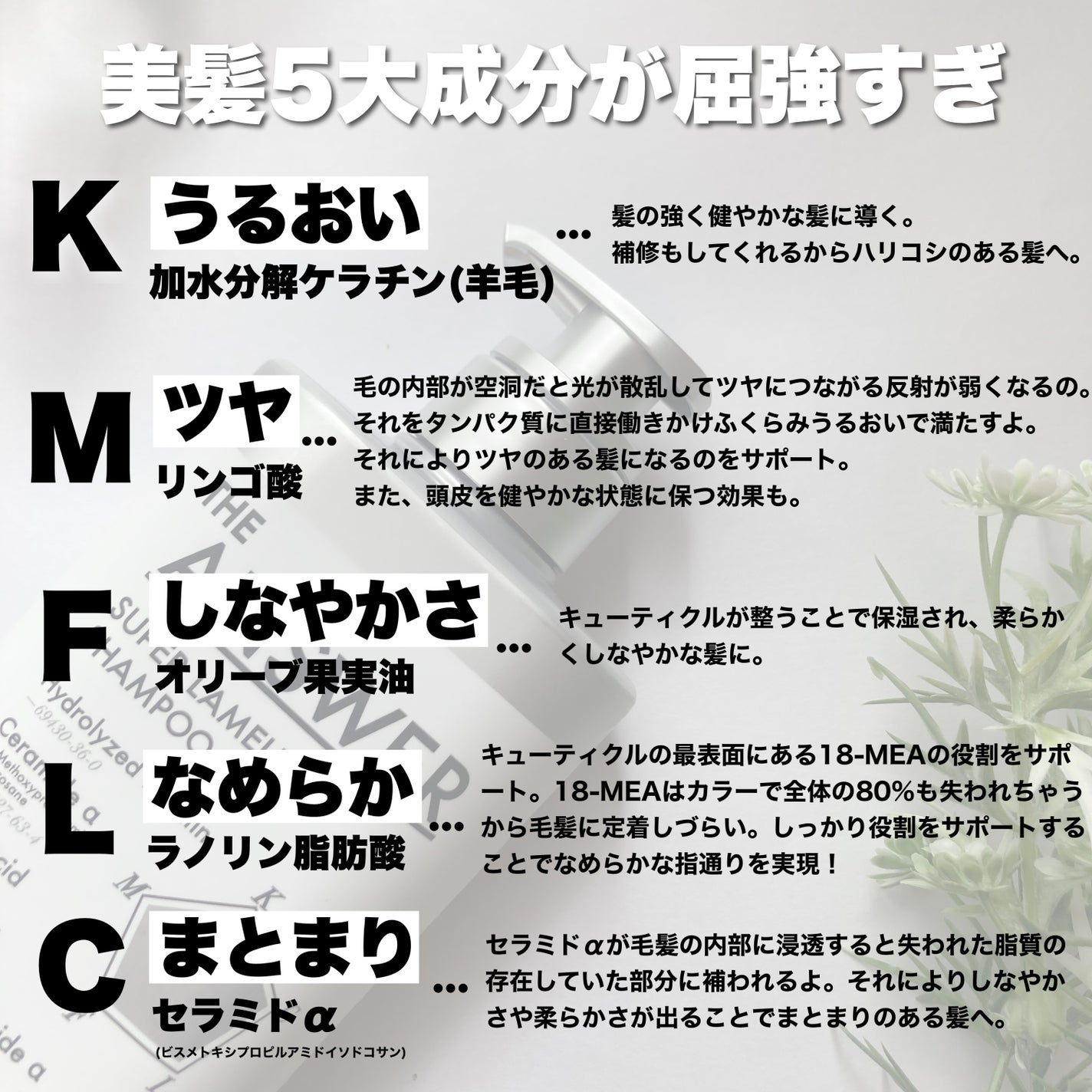 THE ANSWER スーパーラメラシャンプー/THE ANSWER/市販シャンプーを使ったクチコミ(4枚目)