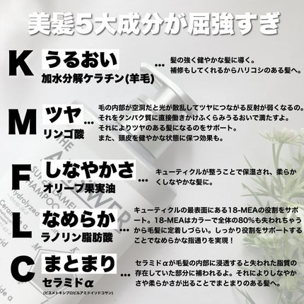 THE ANSWER スーパーラメラシャンプー/THE ANSWER/市販シャンプーを使ったクチコミ(4枚目)