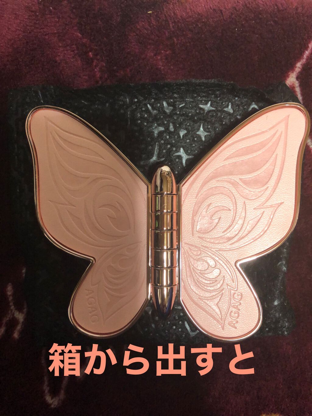 バタフライアイシャドウパレット/AGAG/アイシャドウパレットを使ったクチコミ（3枚目）