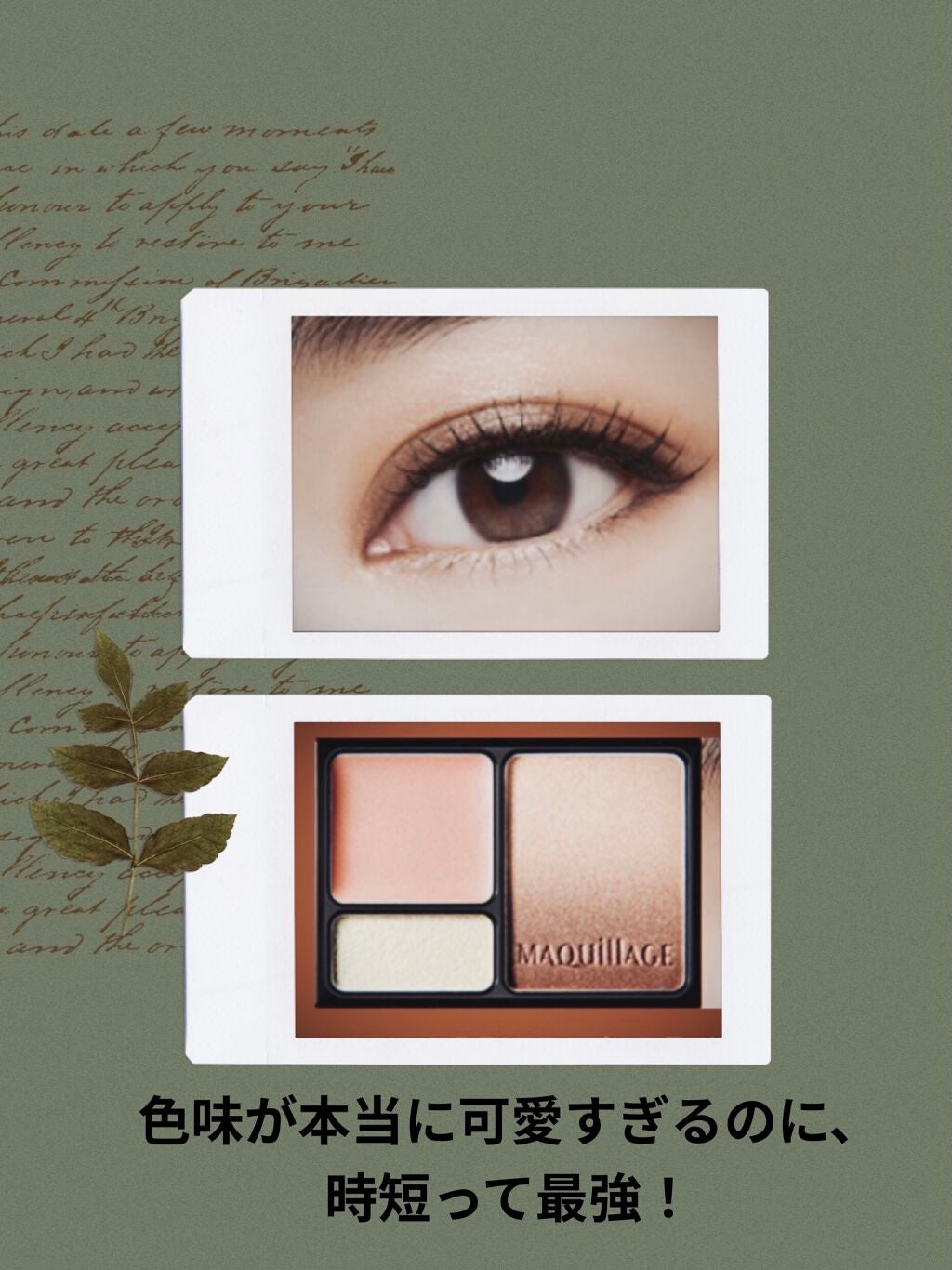 ドラマティックスタイリングアイズS/マキアージュ/アイシャドウパレットを使ったクチコミ(3枚目)