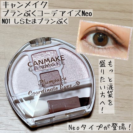 プランぷくコーデアイズNeo/キャンメイク/アイシャドウを使ったクチコミ(1枚目)