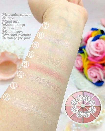 ミドルトーンアイシャドウコレクターパレット/Laka/アイシャドウパレットを使ったクチコミ(6枚目)