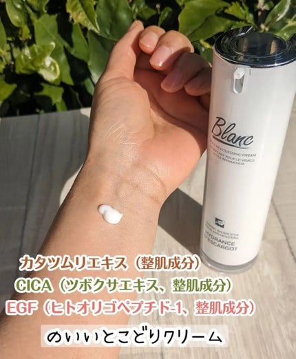 マジックカタツムリクリーム/ブラン/フェイスクリームを使ったクチコミ(2枚目)