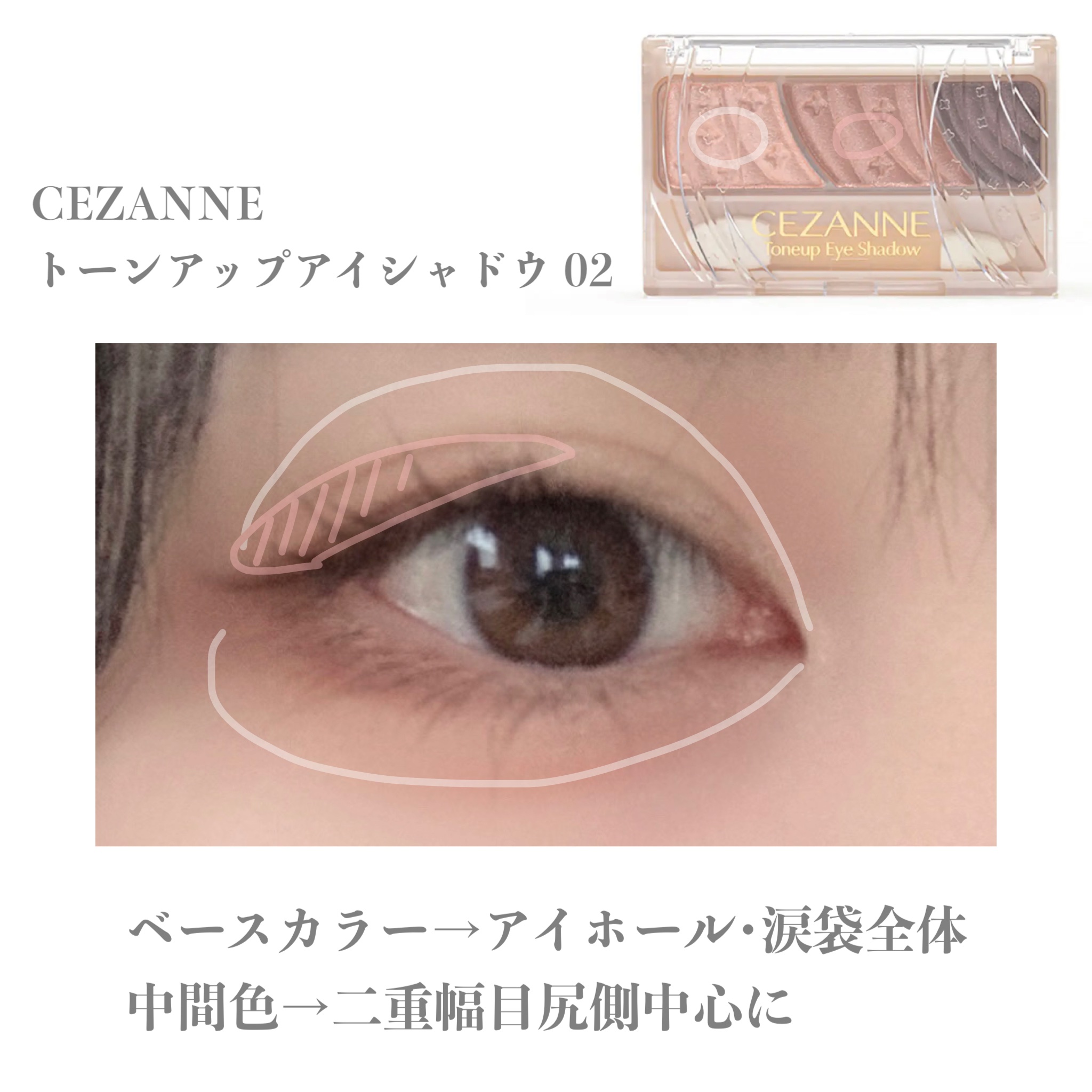 トーンアップアイシャドウ/CEZANNE/アイシャドウパレットを使ったクチコミ（2枚目）