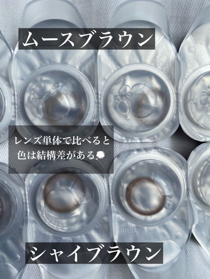 ReVIA CIRCLE 1day/ReVIA/ワンデー(1DAY)カラコンを使ったクチコミ(6枚目)