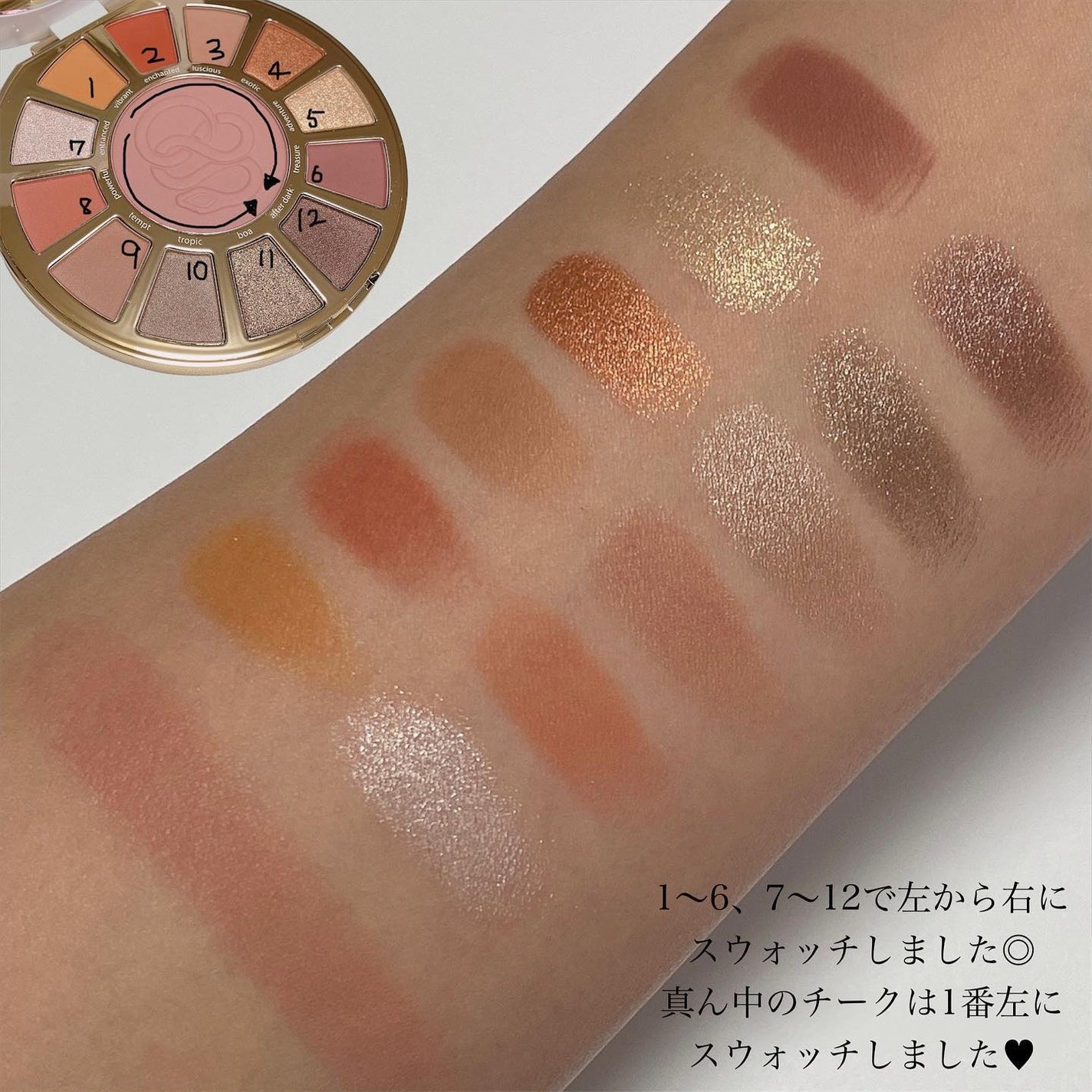 レインフォレスト テンプテーションズ アイ&チーク パレット/tarte/アイシャドウパレットを使ったクチコミ(4枚目)