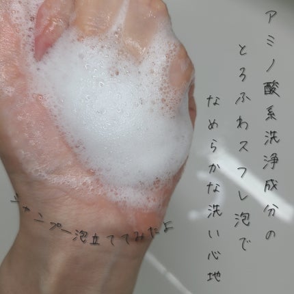 ãšãã»ã³ã·ã£ã«ãã¬ãã¢ã ããªã¢ã·ã£ã³ããŒã»ã³ã³ãã£ã·ã§ã㌠ã·ã«ããŒïŒã¹ã ãŒã¹/ãšãã»ã³ã·ã£ã«/åžè²©ã·ã£ã³ããŒã䜿ã£ãã¯ãã³ãïŒ4æç®ïŒ