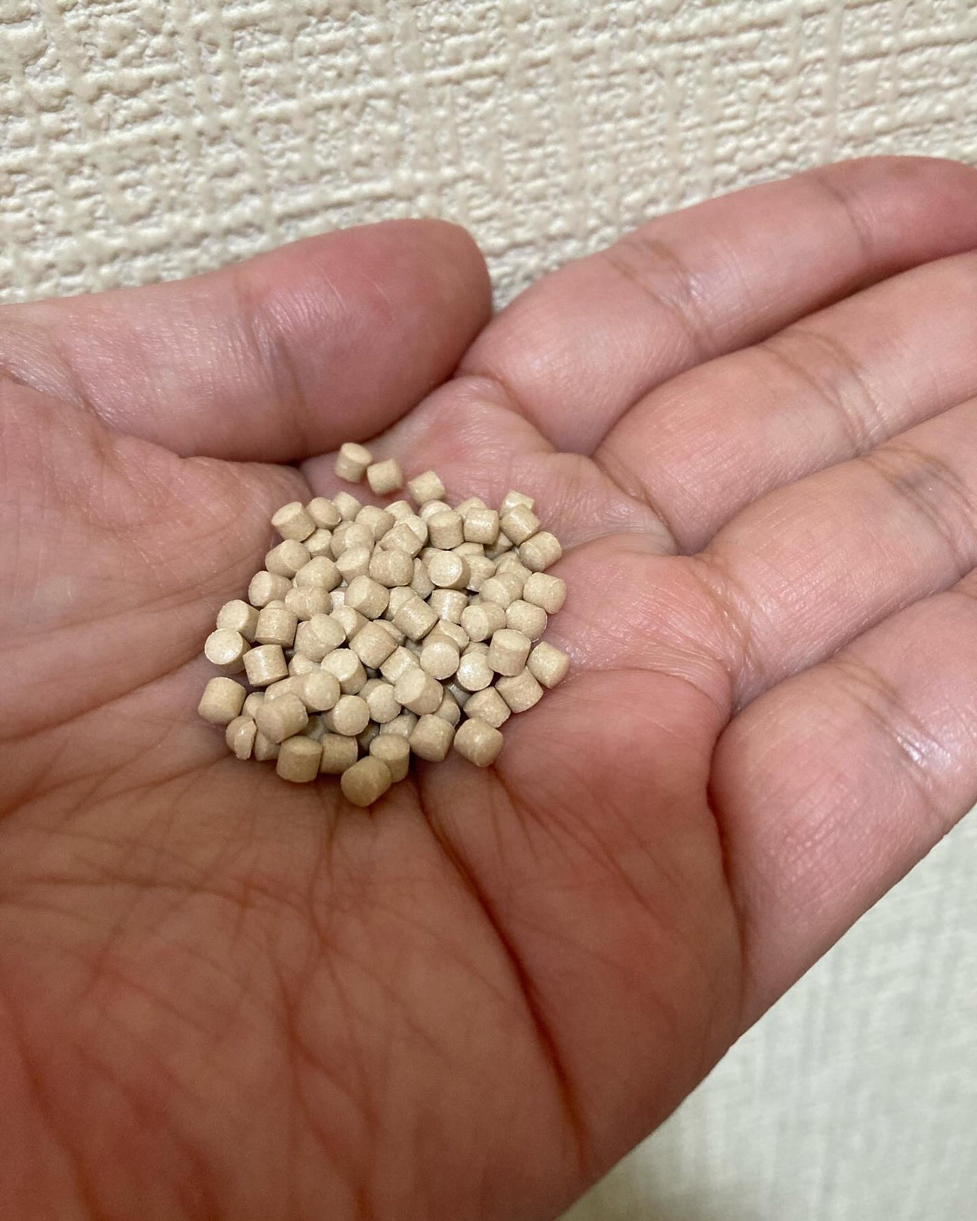 ビール酵母ビオチンプラス/Kwangdong/美容サプリメントを使ったクチコミ(3枚目)