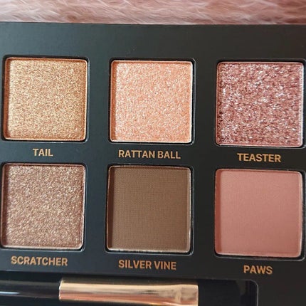 エクスプローラ12色 動物アイシャドウパレット/PERFECT DIARY/アイシャドウパレットを使ったクチコミ(8枚目)